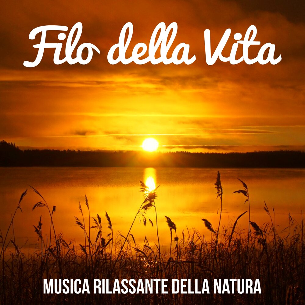 Vita musica. Vitamusica.