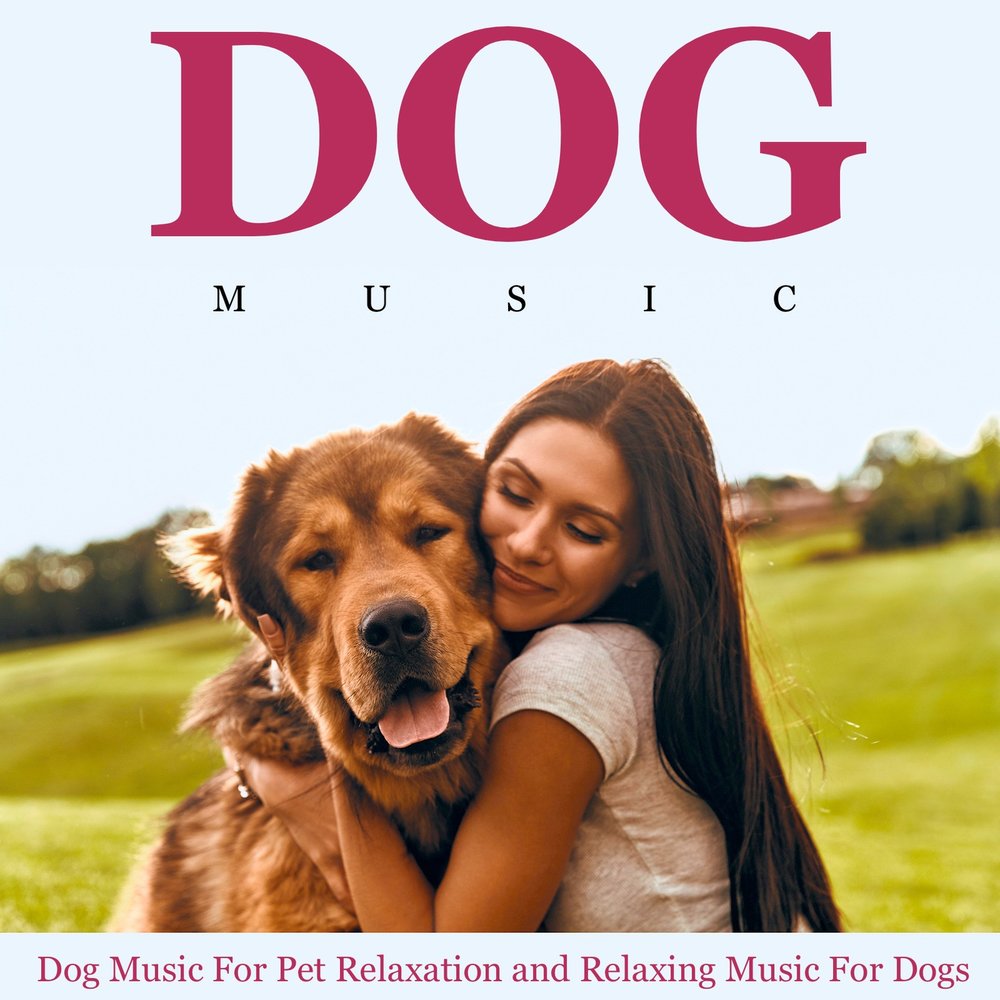 Dog музыка. Music Dog. Музыка дога. Песня дог дог. Zoo Music собачка.