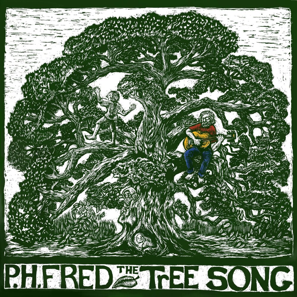 Хвойный песни. Песня про дерево. Песни про деревья. Tree Song.
