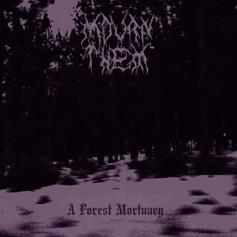 Mourning Forest группа. Woods of Desolation toward the depths. Dwell in Doom - Forest of Mourning Souls.