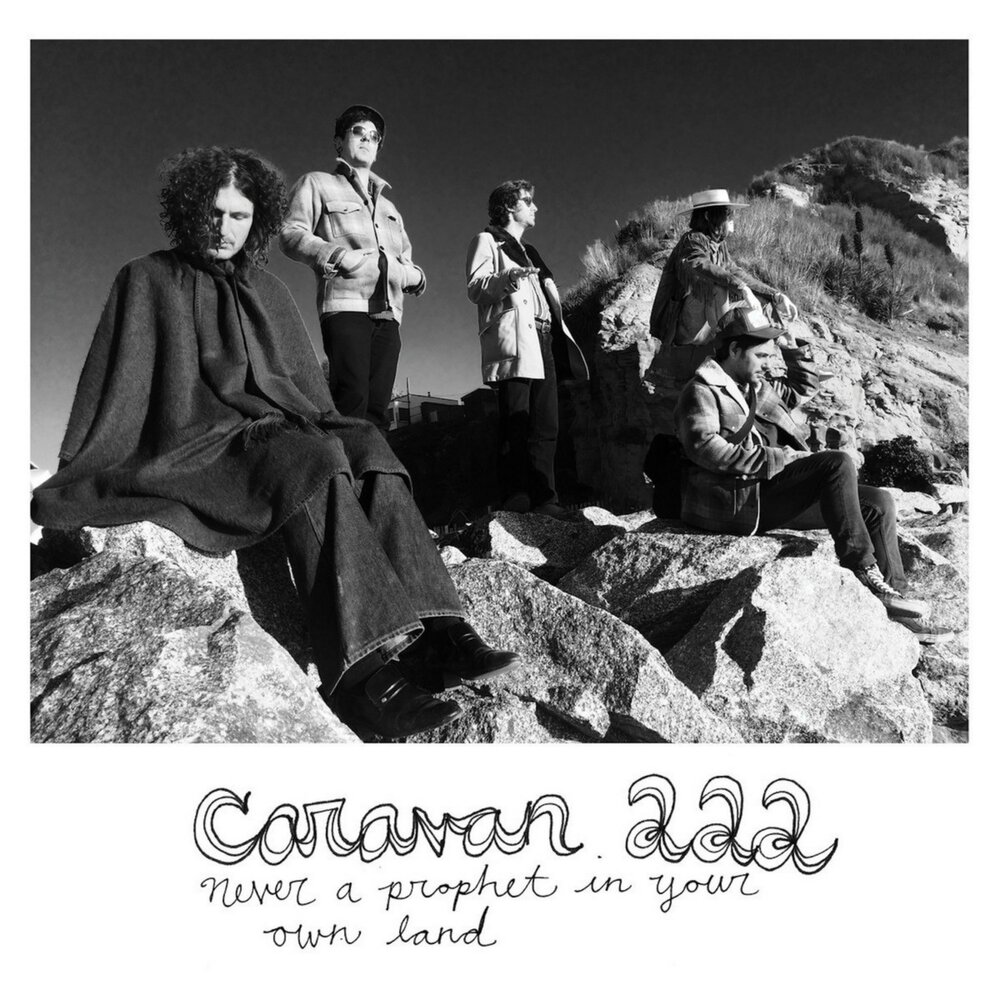 Группа the Desert furs. Caravan in the Land of Grey and Pink 1971. Caravan the album. Группа the Desert furs foto.