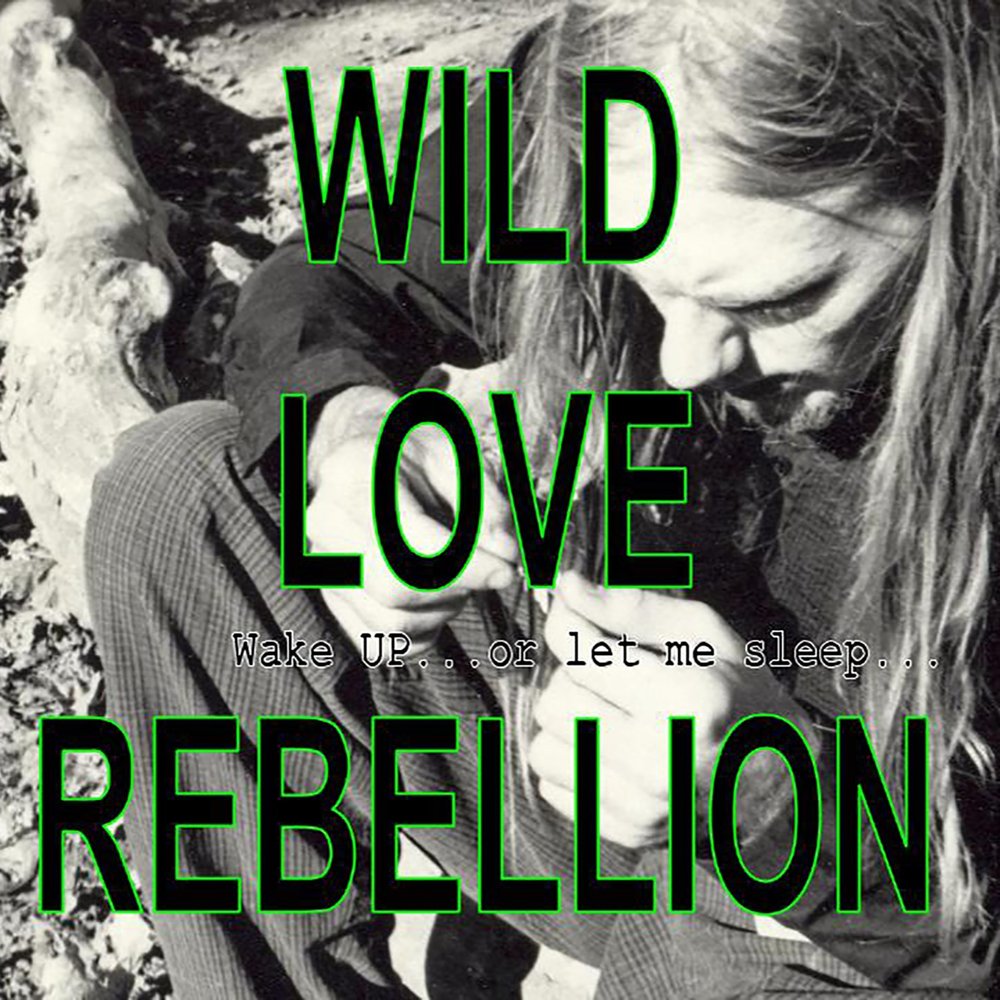 Loving wild. Wild Shadows группа. Rebellion of Love. Wild Love. Let me Sleep.