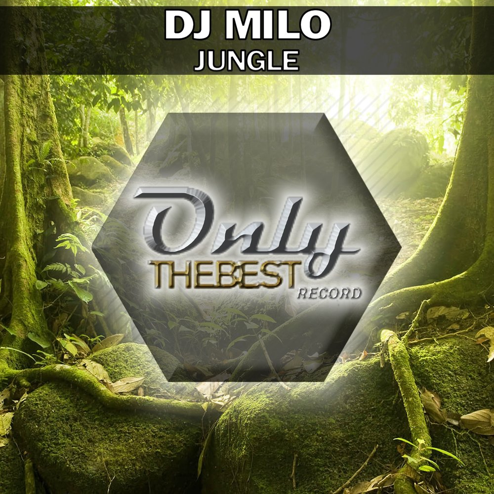 Jungle music. Jungle альбом. музыка джангл исполнители. Jungle слушать. джангл слушать.