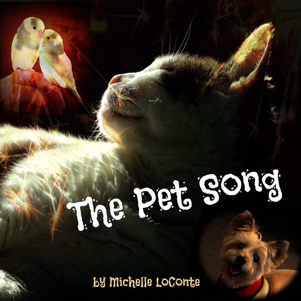 Песни петс. Pets Song. Pet песня. My Pet Song. Песня пэтс.