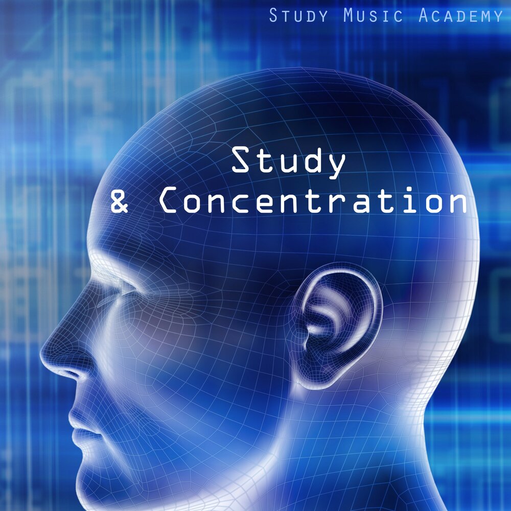 Study music. Music for study. Стади музыка. Music for study слушать онлайн. Prescriptions for the Mind.