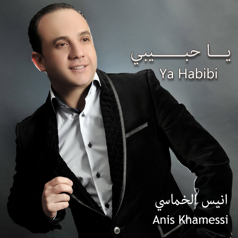 Слушать песни арабскую песню слушать хабиби. Anis Music foto.