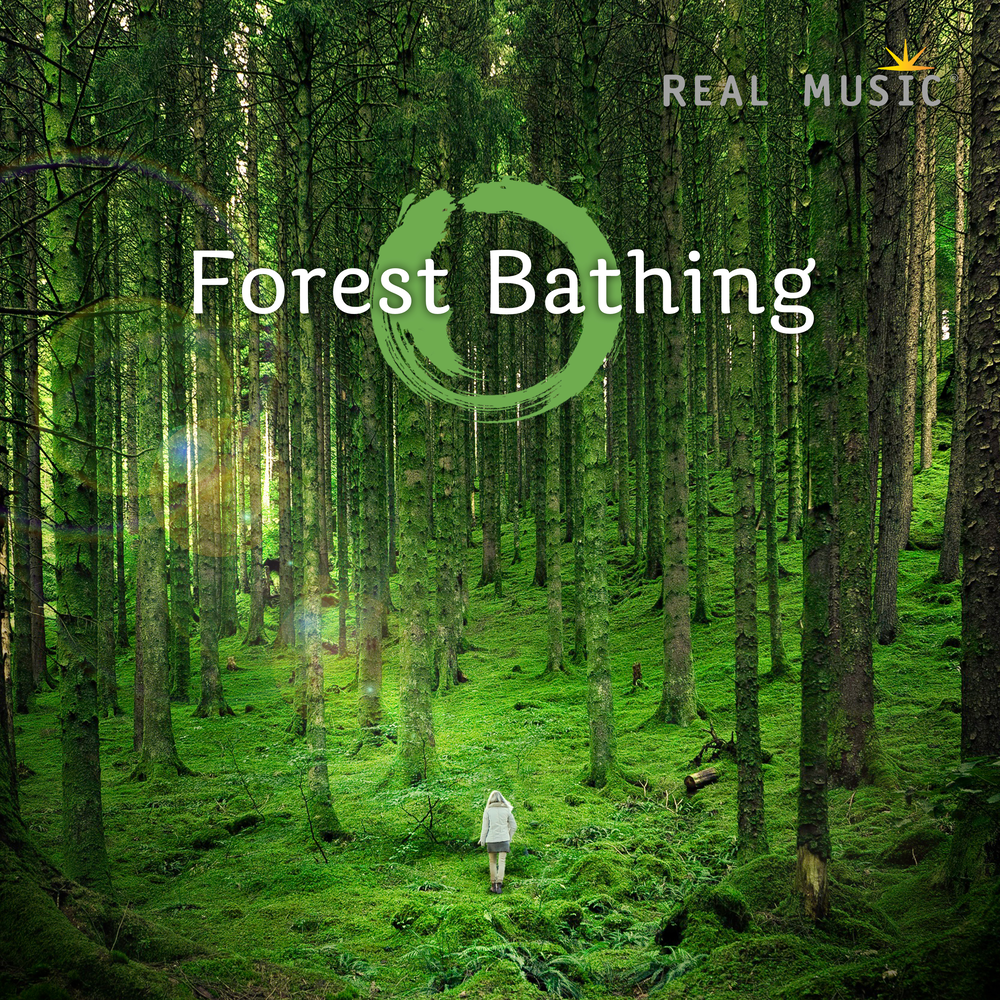 Deep Forest альбомы. Музыка леса. Forest Bath. Hilary Stagg Beyond the Horizon.