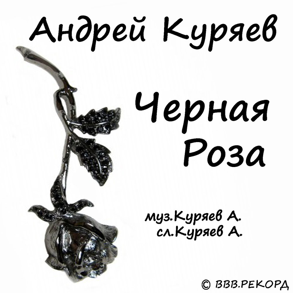 Черные розы песня. Черная роза Андрей Куряев. Чёрная роза слушать онлайн. Чёрные розы песня. Русские. Песни. Черная.роза.