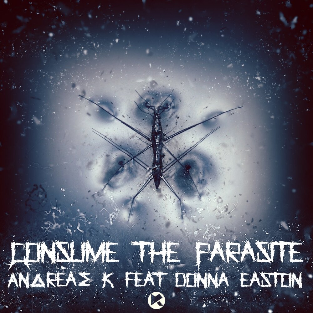 Andrea. Andreas feat. The white noise an electric storm. андреас мартин. Andreas lutz 2022.