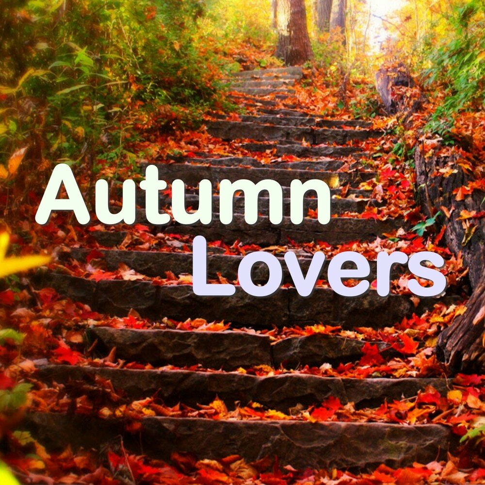 Veronica loved autumn it was