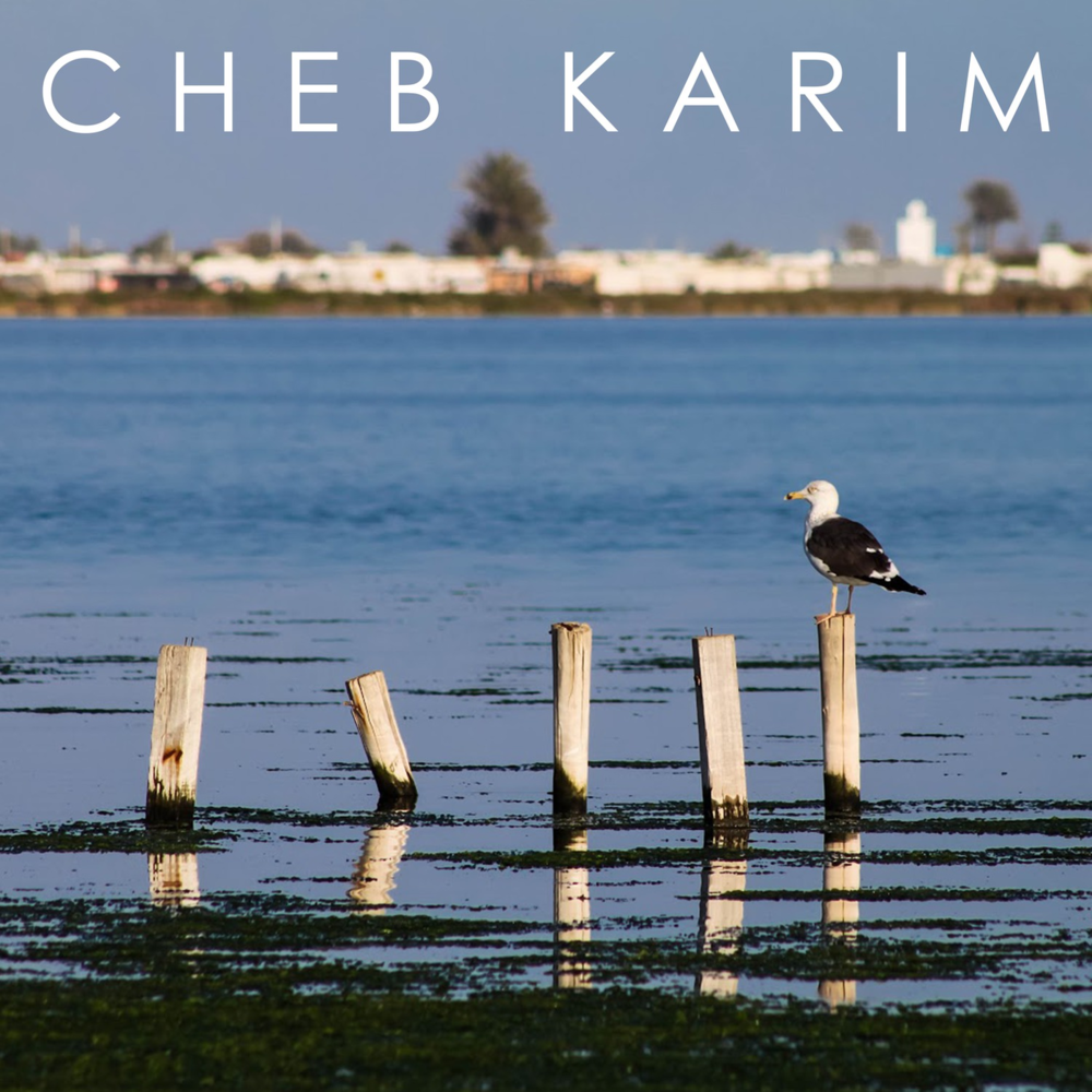 Верхняя березовка ватрушки. The last night игра. Ft final. The last night игра. Хада трек.