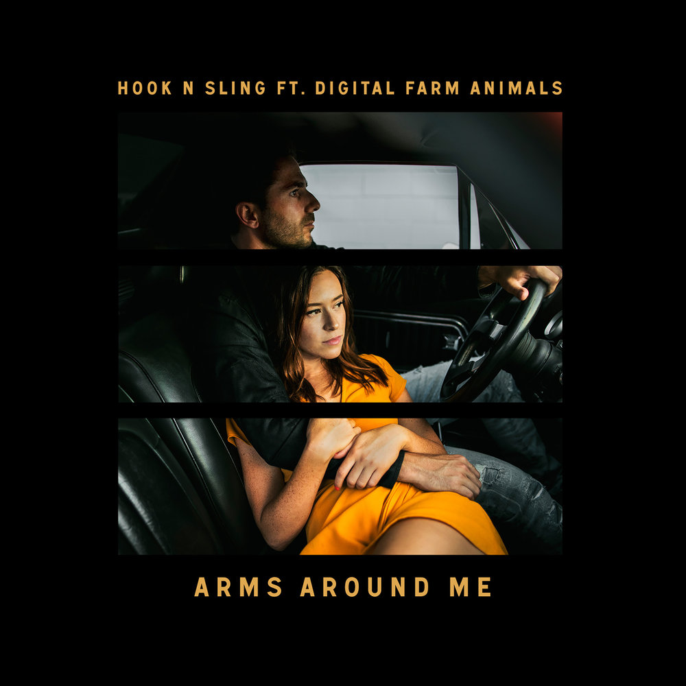 Hook n Sling feat. Arms песня. Around me. Digital Farm animals Nicholas Gale.