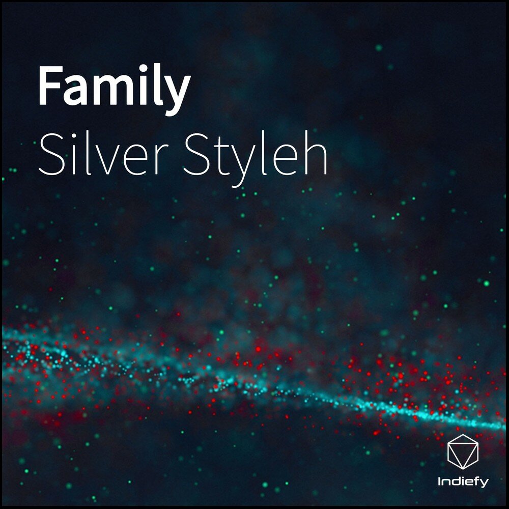 Silver family. Песня Silver. The Family Silver.