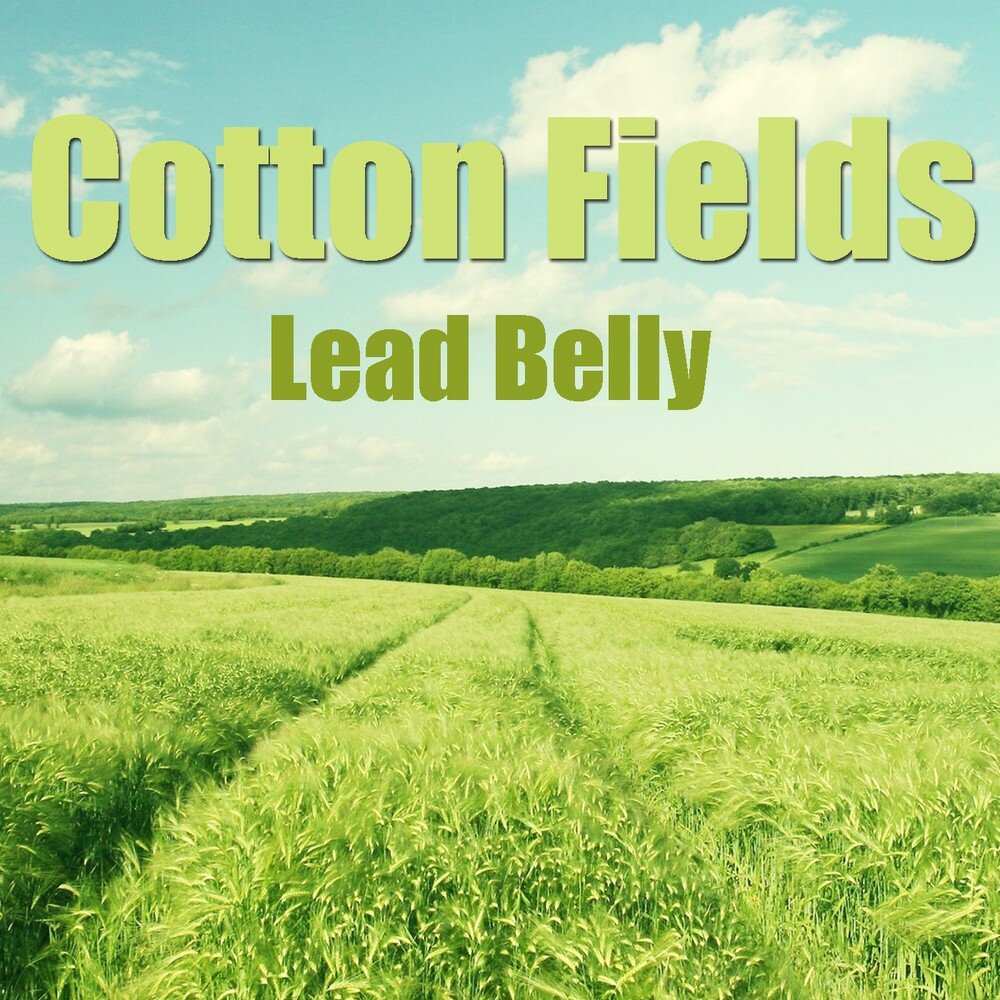 Cottonfield. Fields led