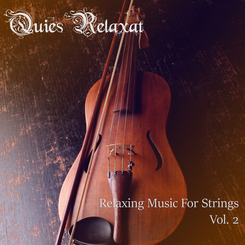Production string. Strings vol. Strings vol. Sample of string. Пиццикато.