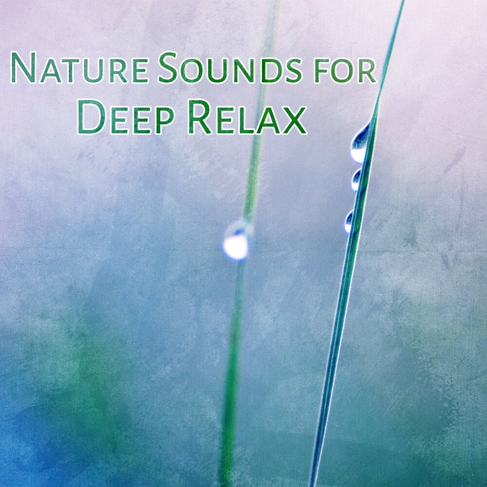 Nature sounds relaxing. Nature Sounds for Relaxation.