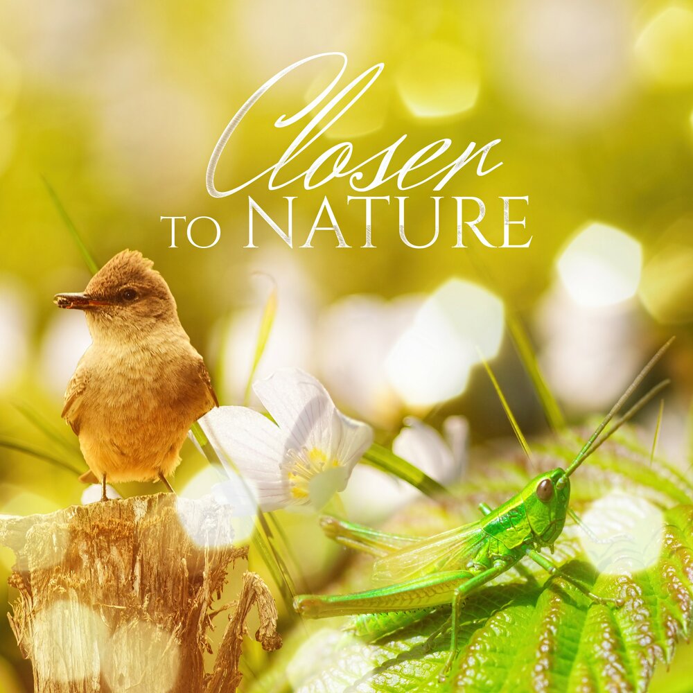 Be close to nature. Close to nature. Обложка Relaxing Music. Naturals Relax Music. Closer to nature.