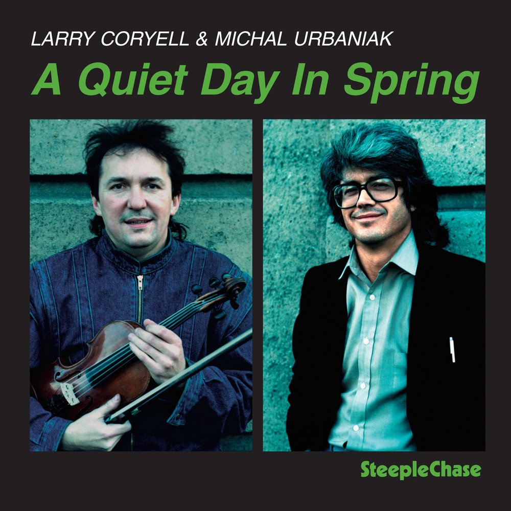 Quite day. Larry Coryell.