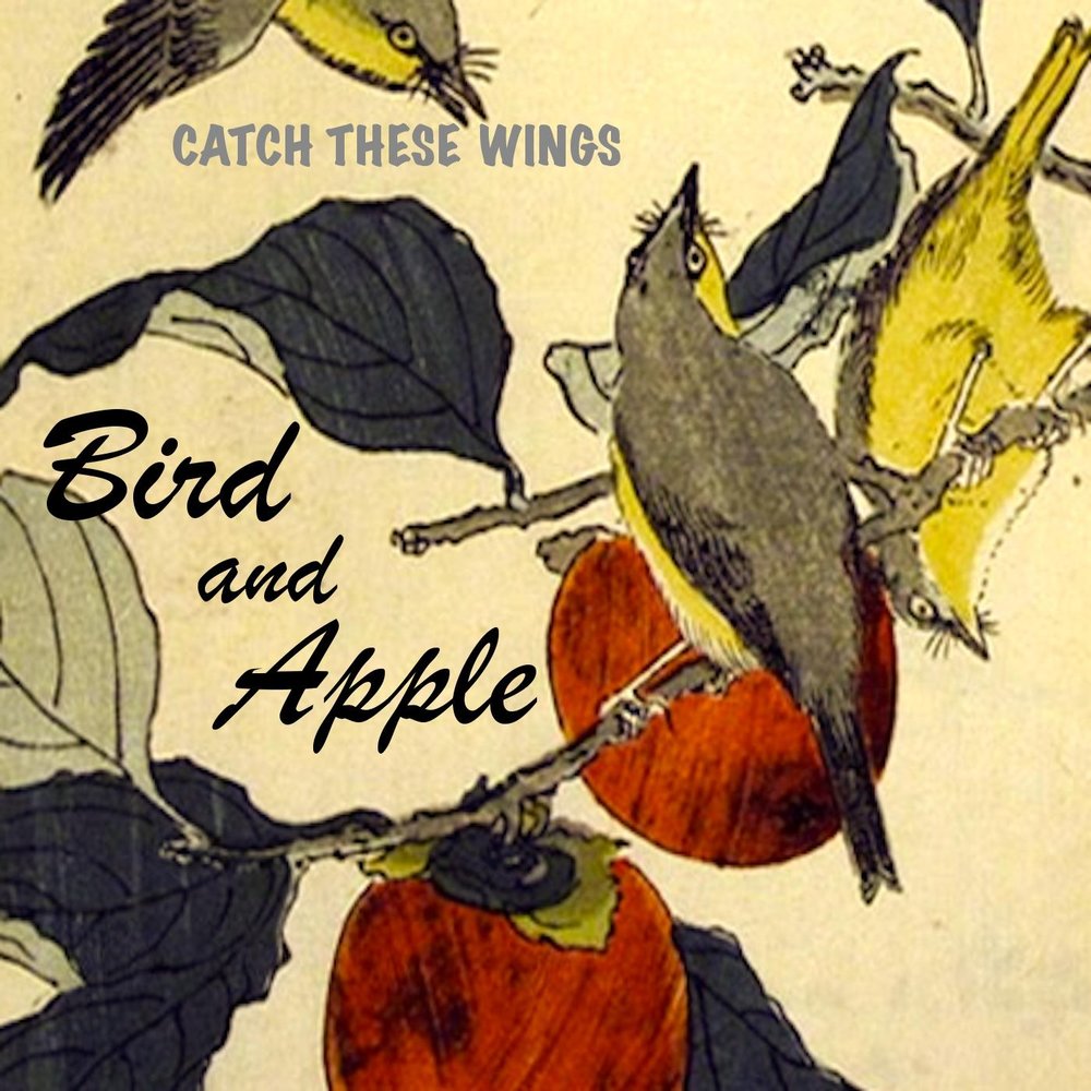 Are these wings. Apple Bird. Картинки a b Apple Bird. Romantic Bird Apples.