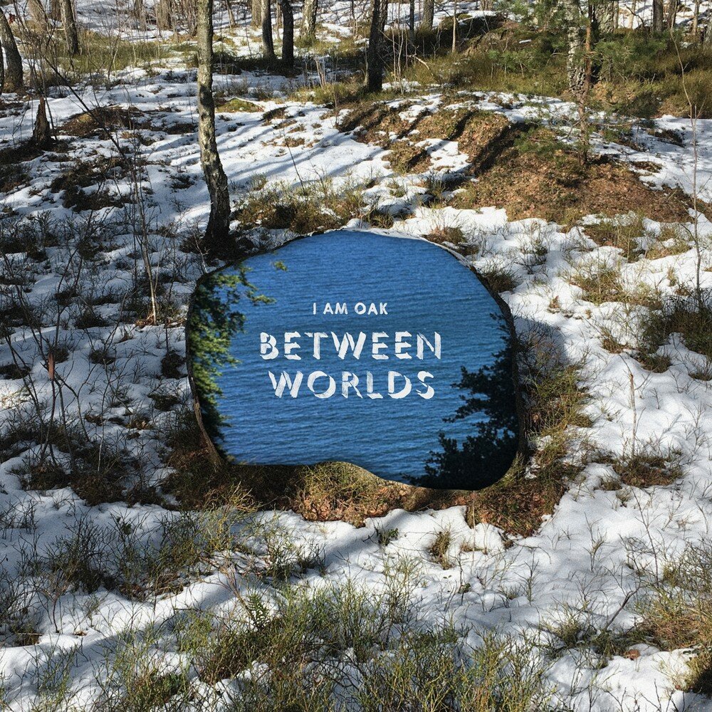 Between the worlds 1. Home between the Oaks имена. Between Worlds.