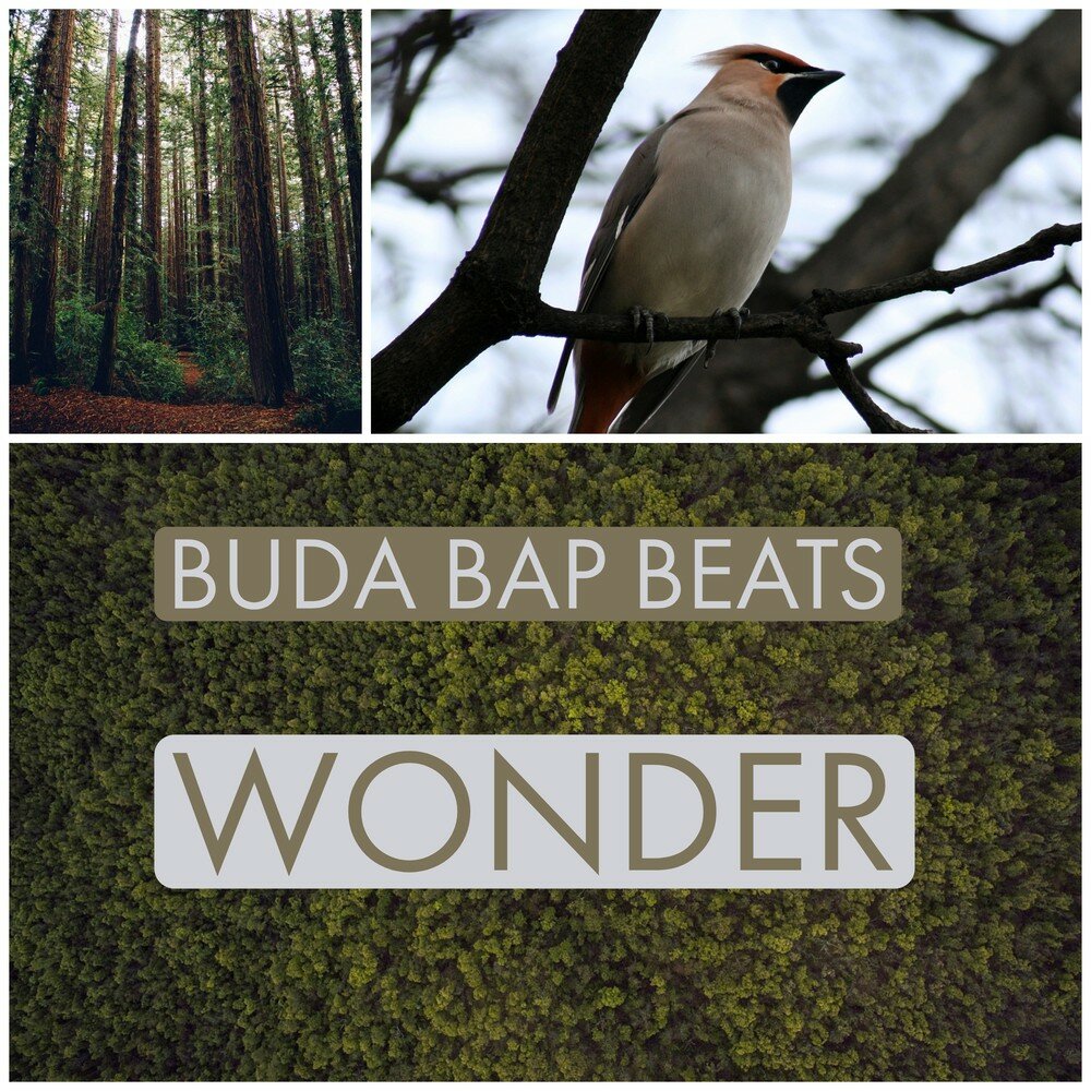 Wonder beats