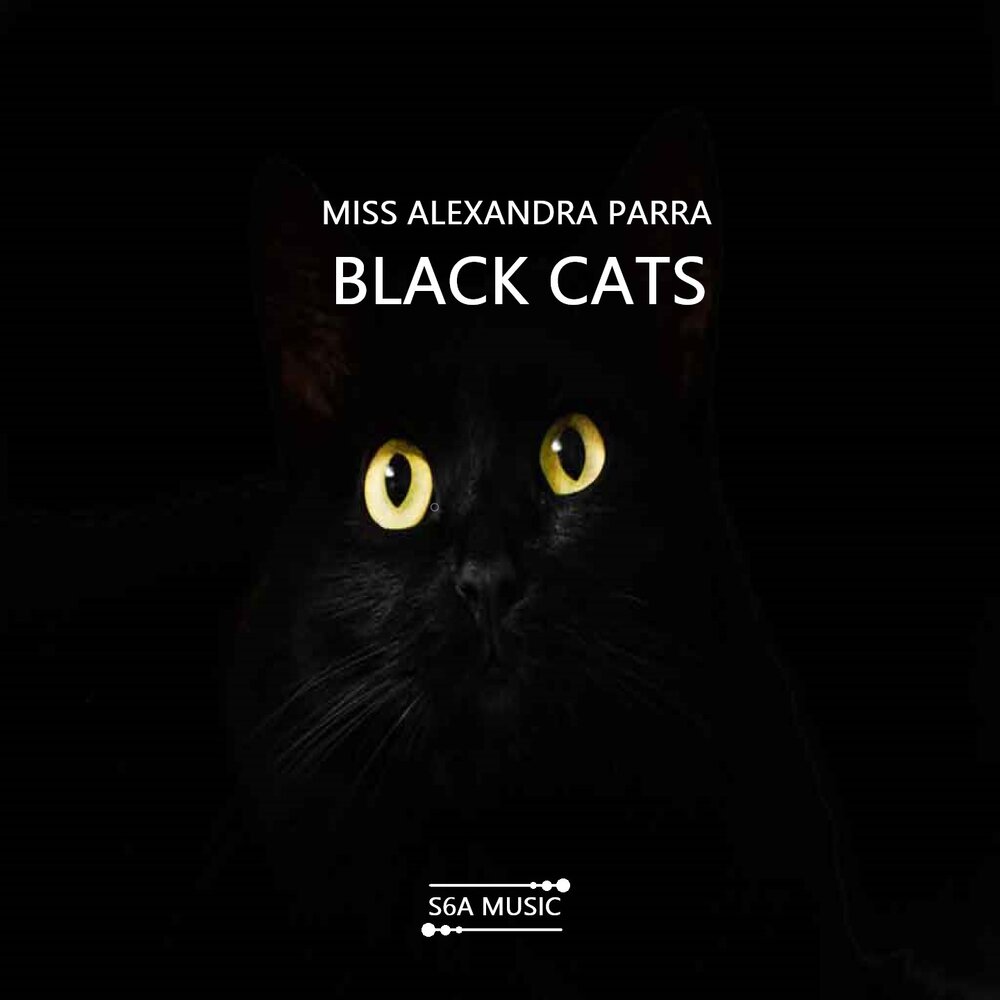 Черный кот слушает. Чёрный кот песня слушать. Песня Мисс Кэт. Песня кошка mp3