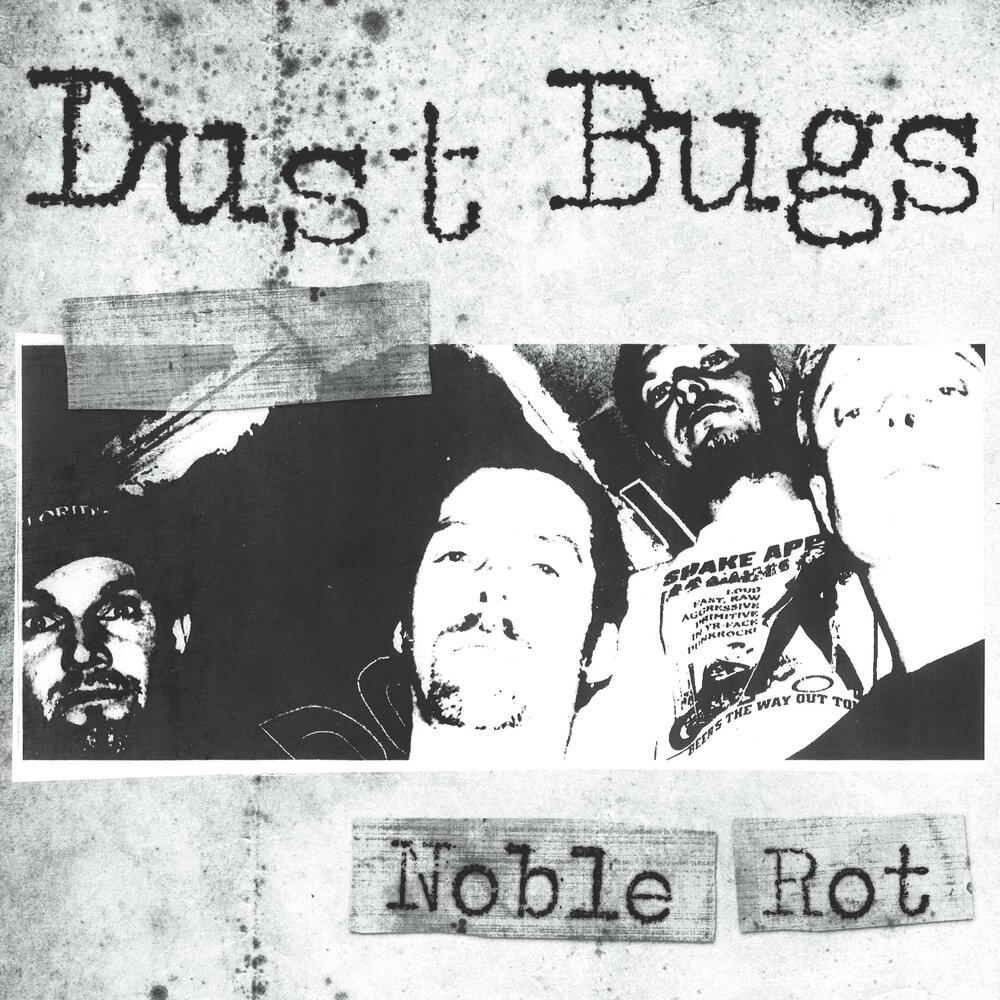 Noble rot. Dust песня. Noble rot перевод.