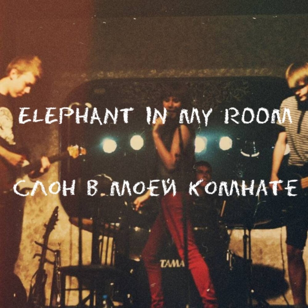 In my room песня. Elephant in my Room. Пет рум. Jonathan Lloyd – Elephant in the Room. Confetti Elephant in the Room.