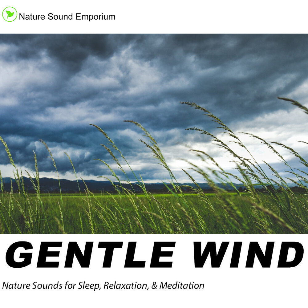 Звук ветра слушать. Gentle Winds. Wind Sound. Sounds of nature.