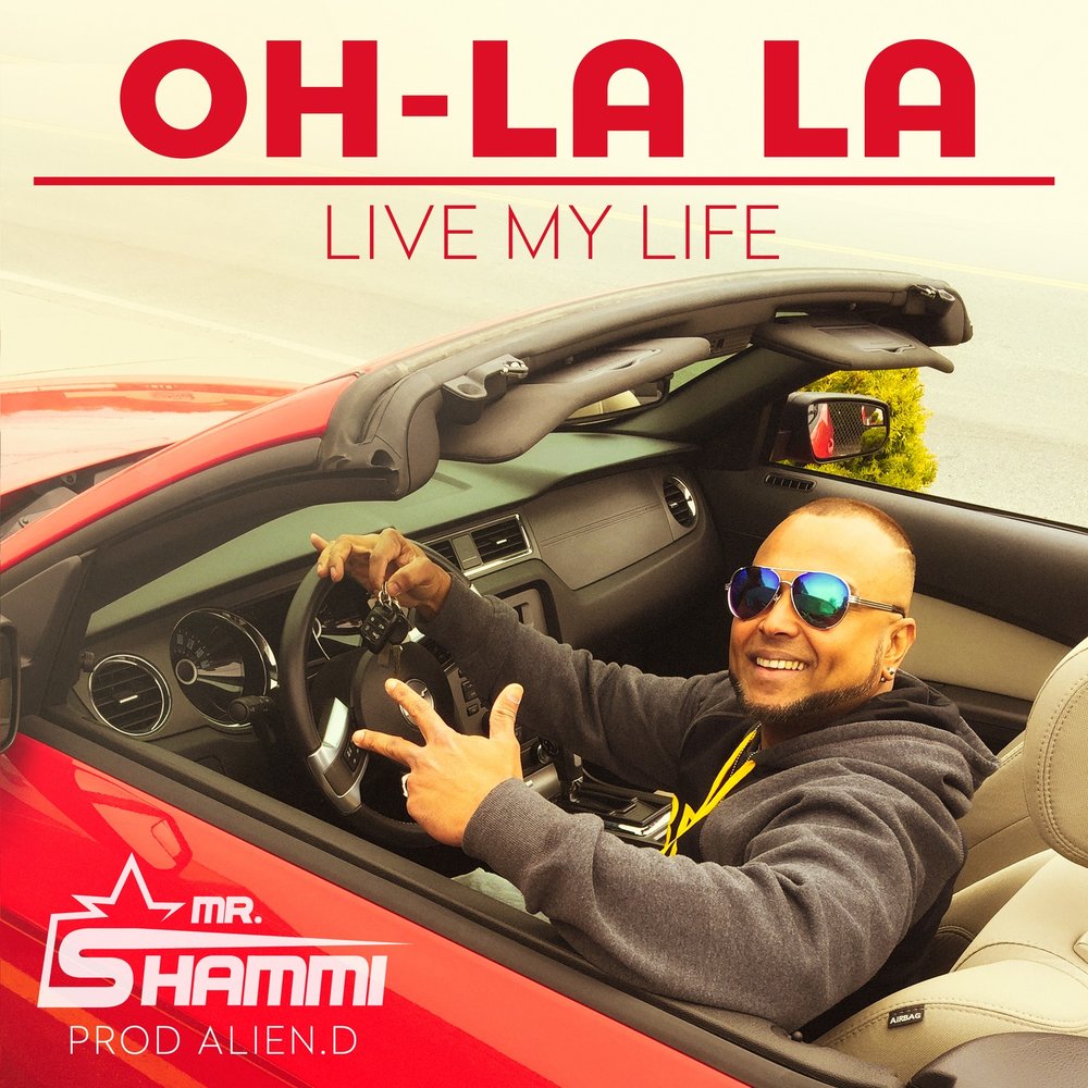 Live my life. Mr Shammi. Mr. Shammi Django. Мистер Шамми копилка. Mr Shammi биография.