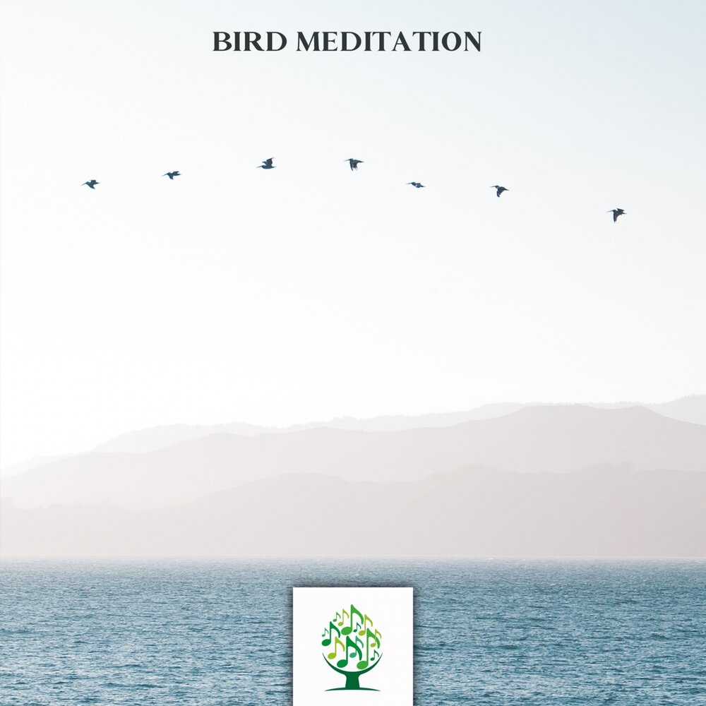 Музыка медитация птицы