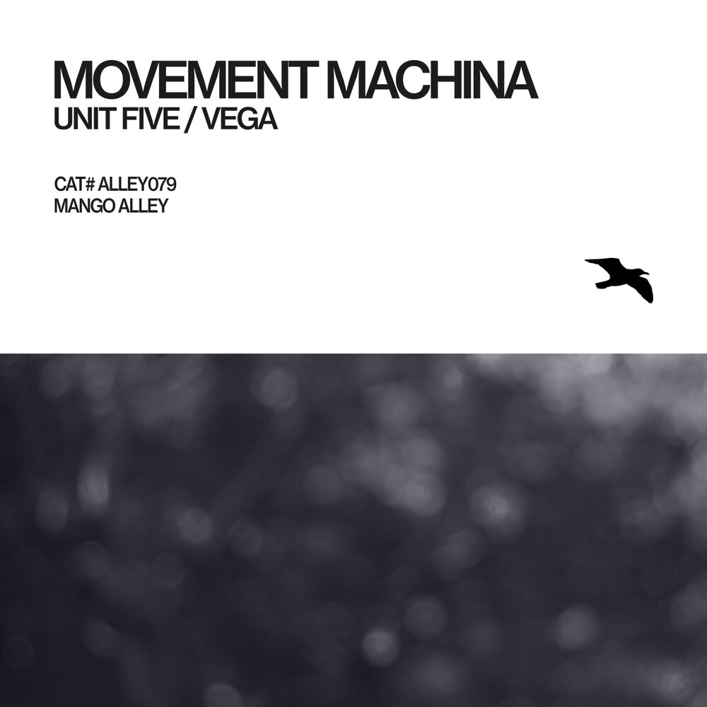 Включи 5 movement. Mango Alley. Mango Alley records.