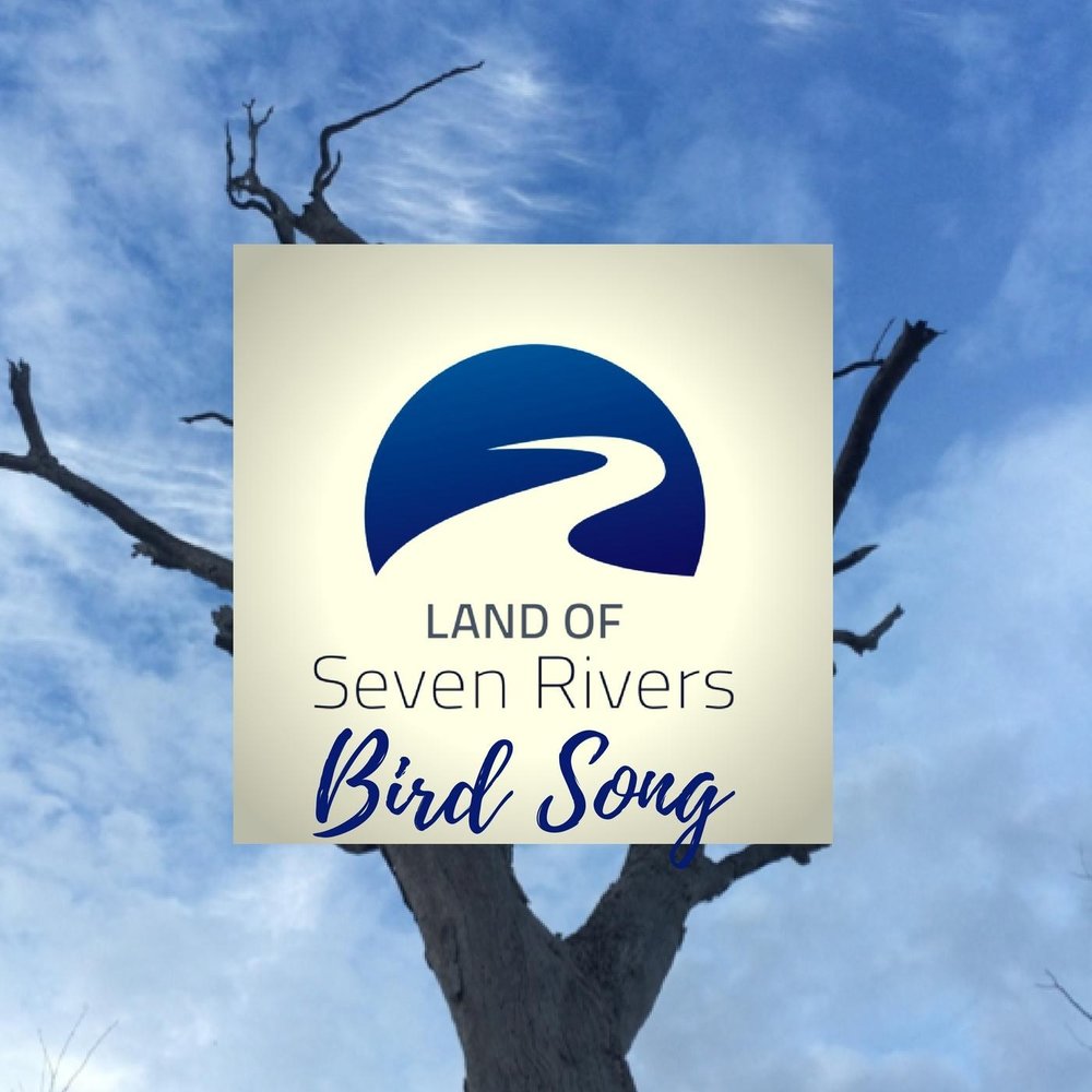 Seven Rivers Warriors. Bird Creek.