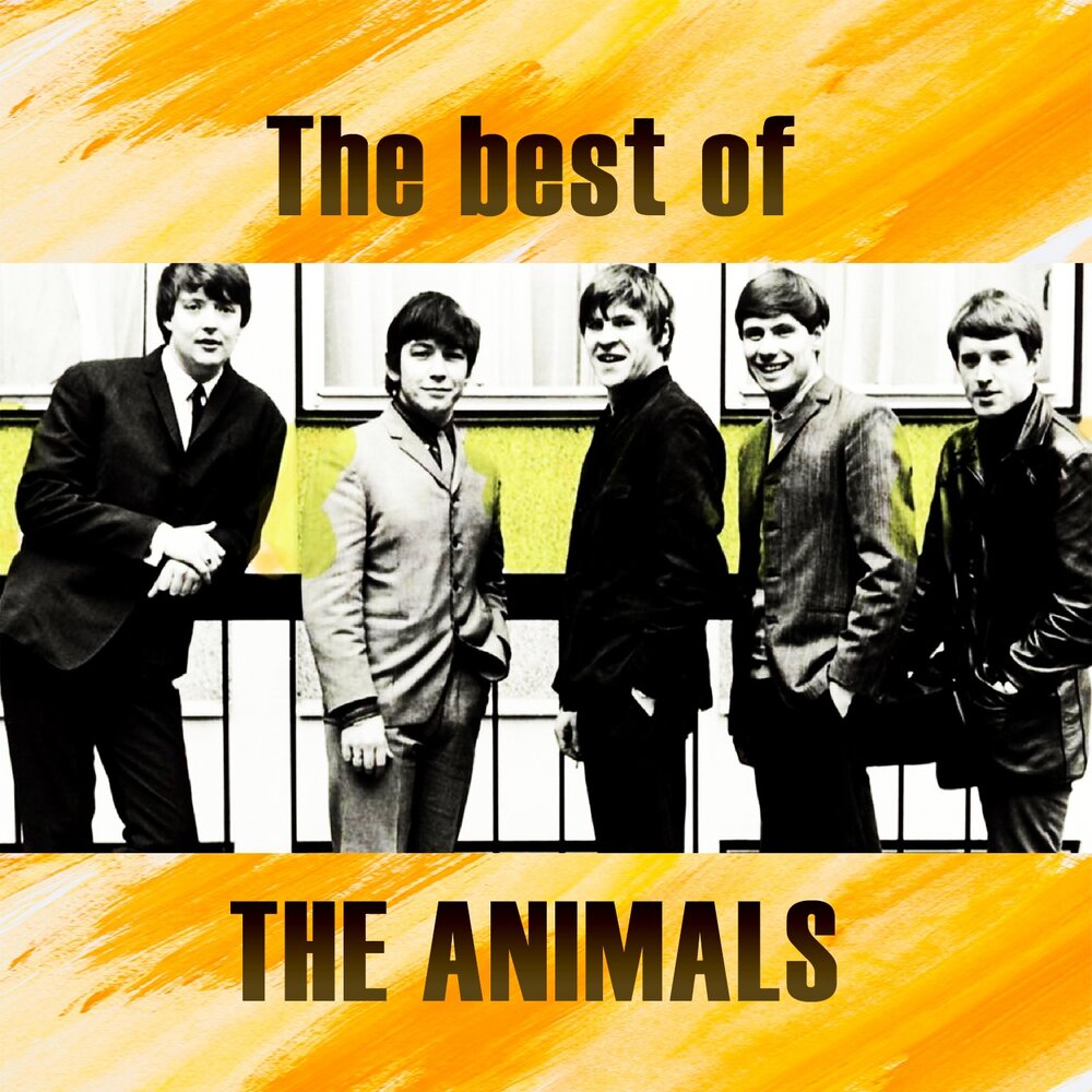 The animals don t