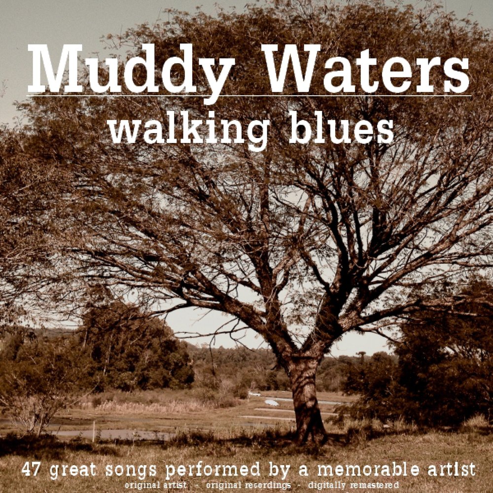 Песня muddy water stray. Волкинг блюз. Walking Blues.