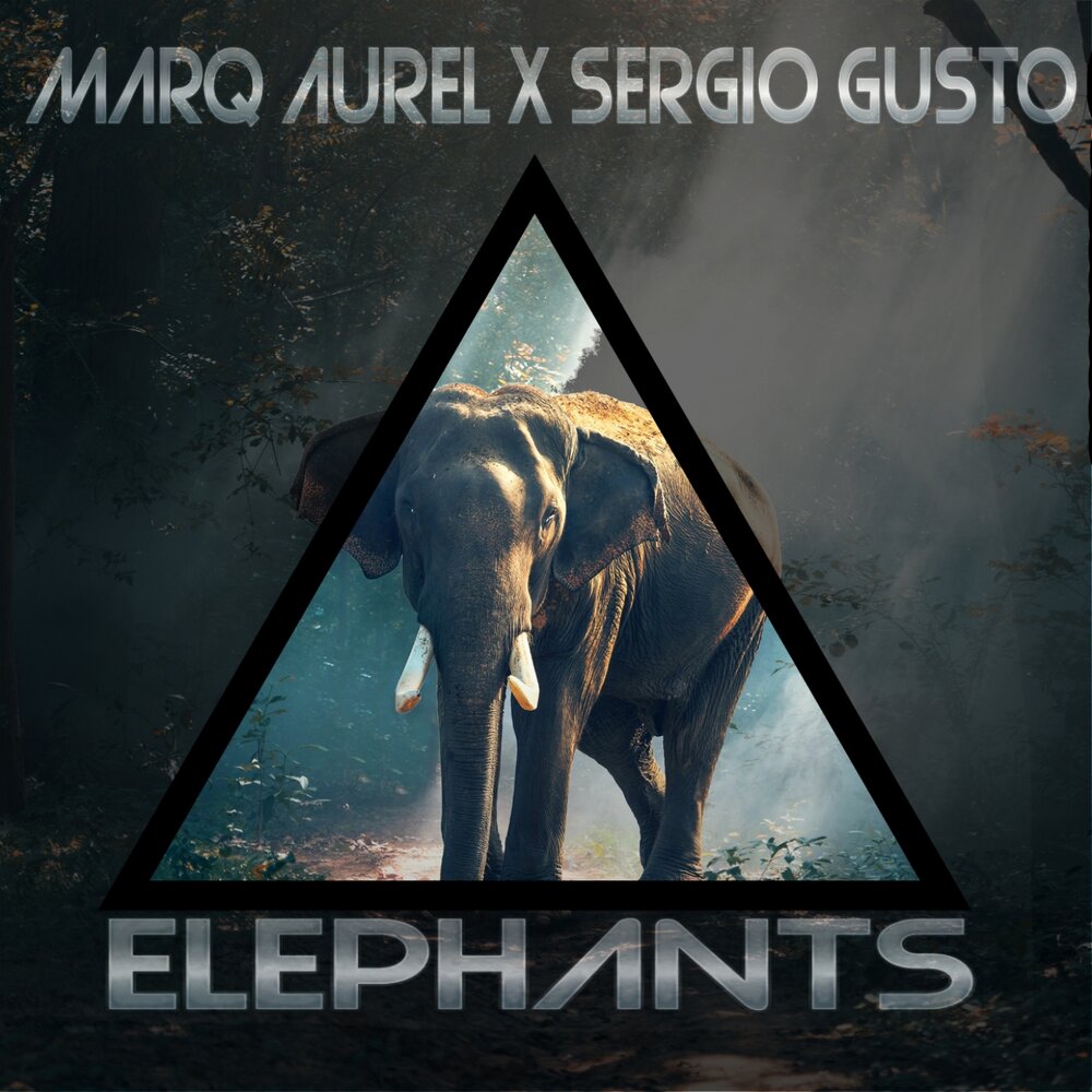 Слон альбом. Hunted by Elephants альбом unnamed. Зов слона музыка. Elephant Music Sanctuary TME.