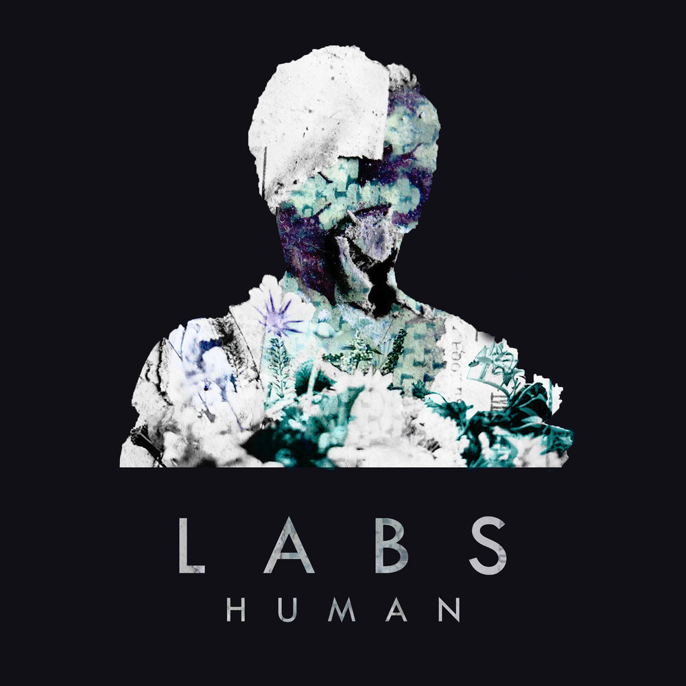 Humans альбом. Human Labs. Human альбомы. Human слушать. 2019 - Human.