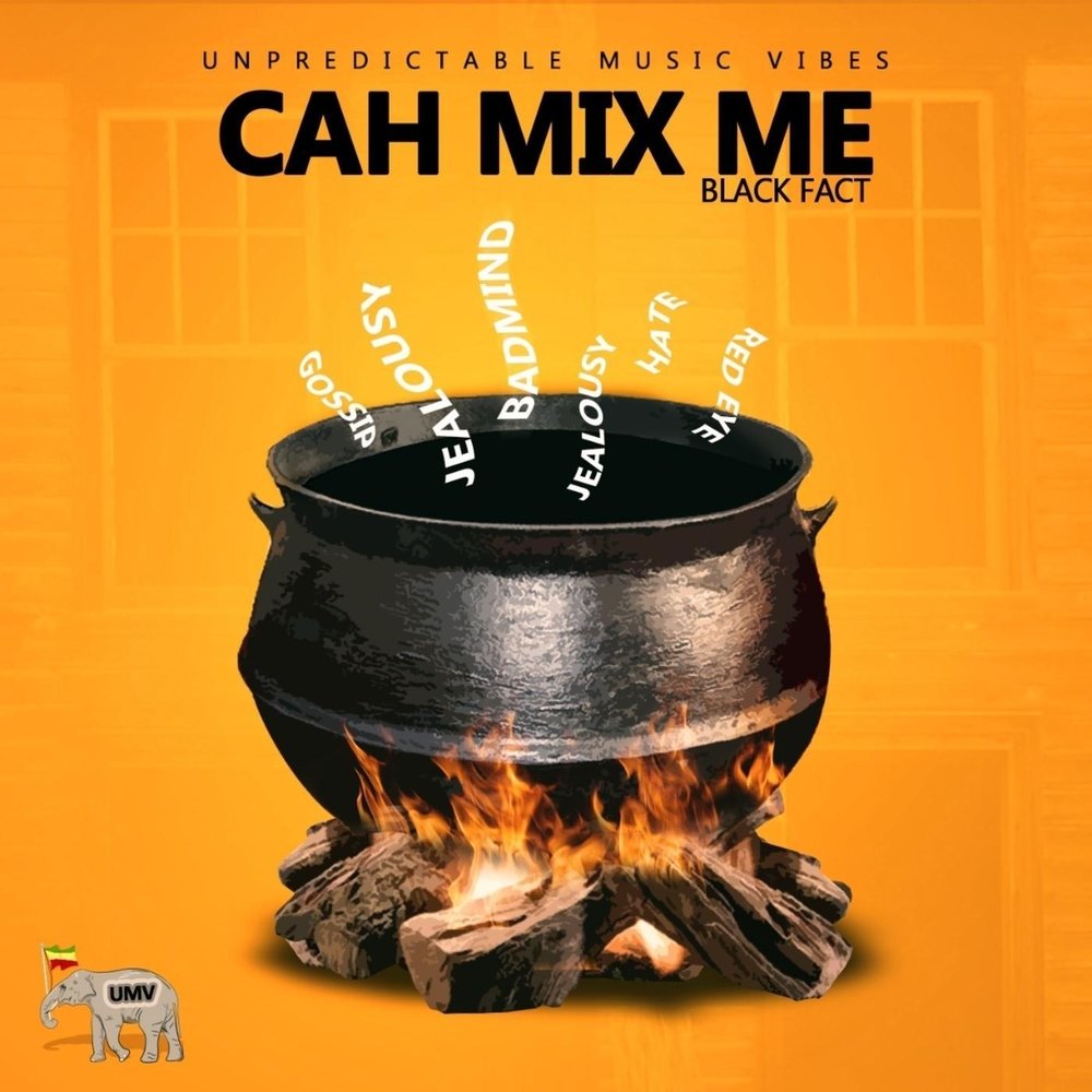 I mix. CA$$H песня. Mix me. Mix 1. Not me Mix 67.