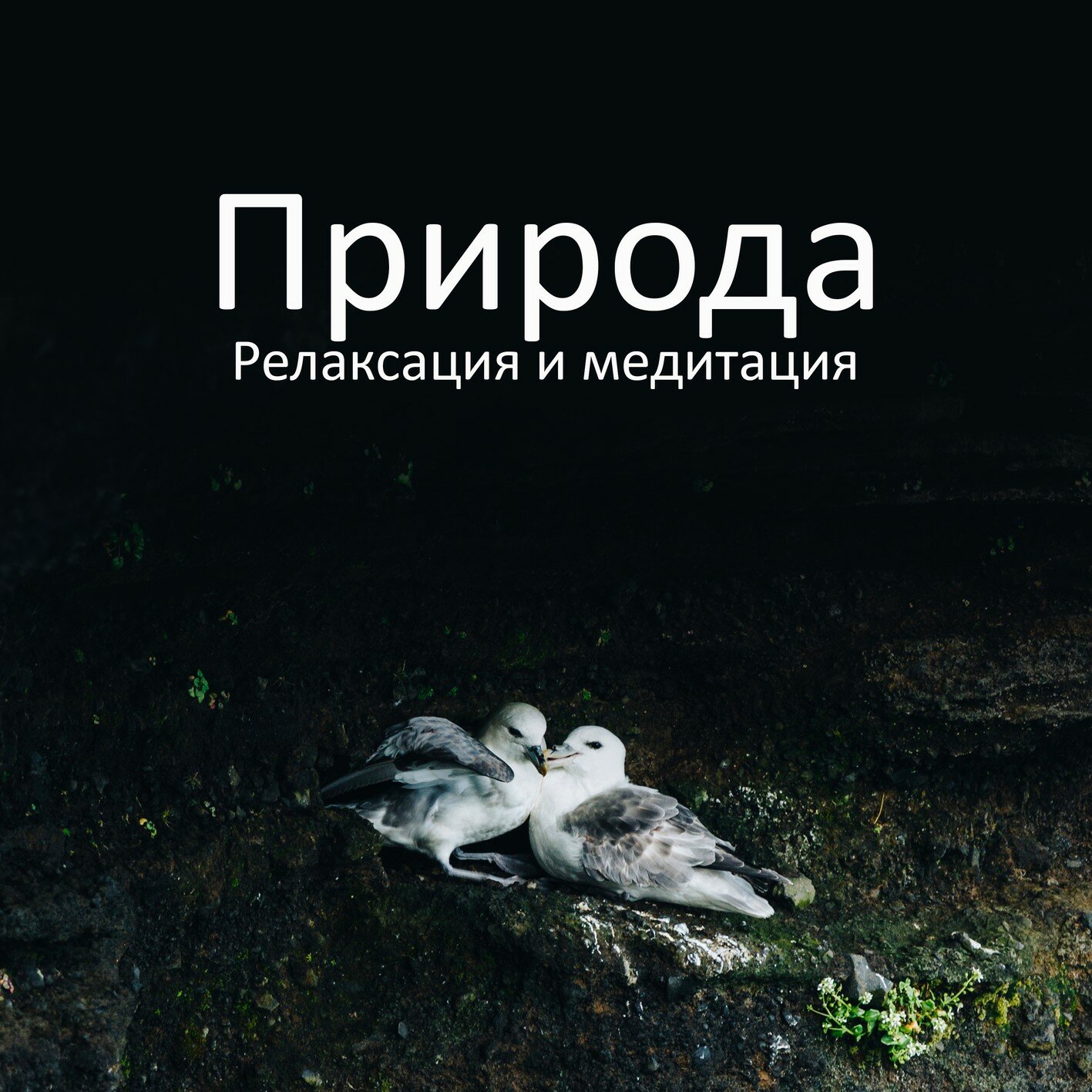 Ансамбль звуков природы