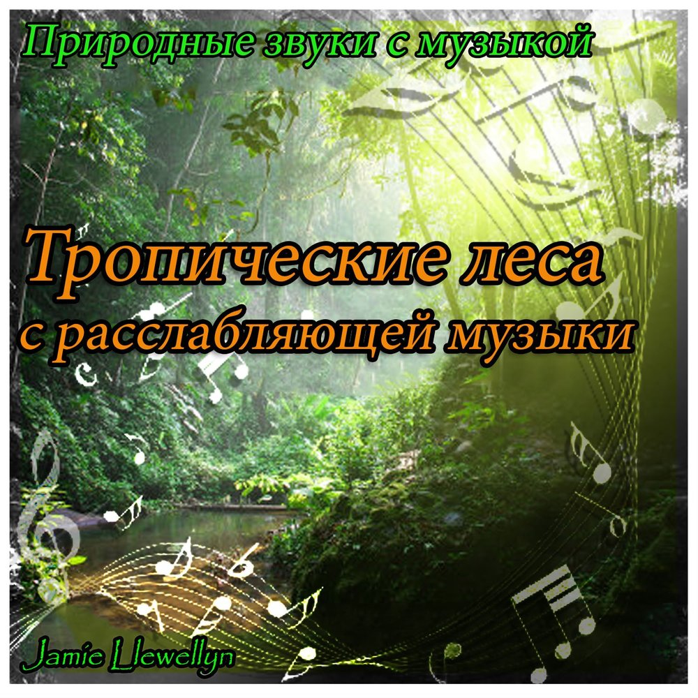 Песня в тропическом лесу купил я дачу. Природные звуки. Музыка тропического леса. Натуральное звучание. Музыка естественно.