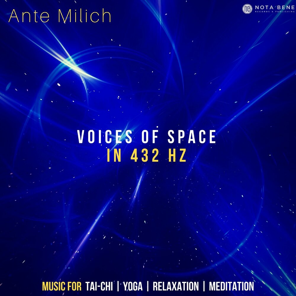 Voice space