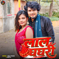 artist-cover