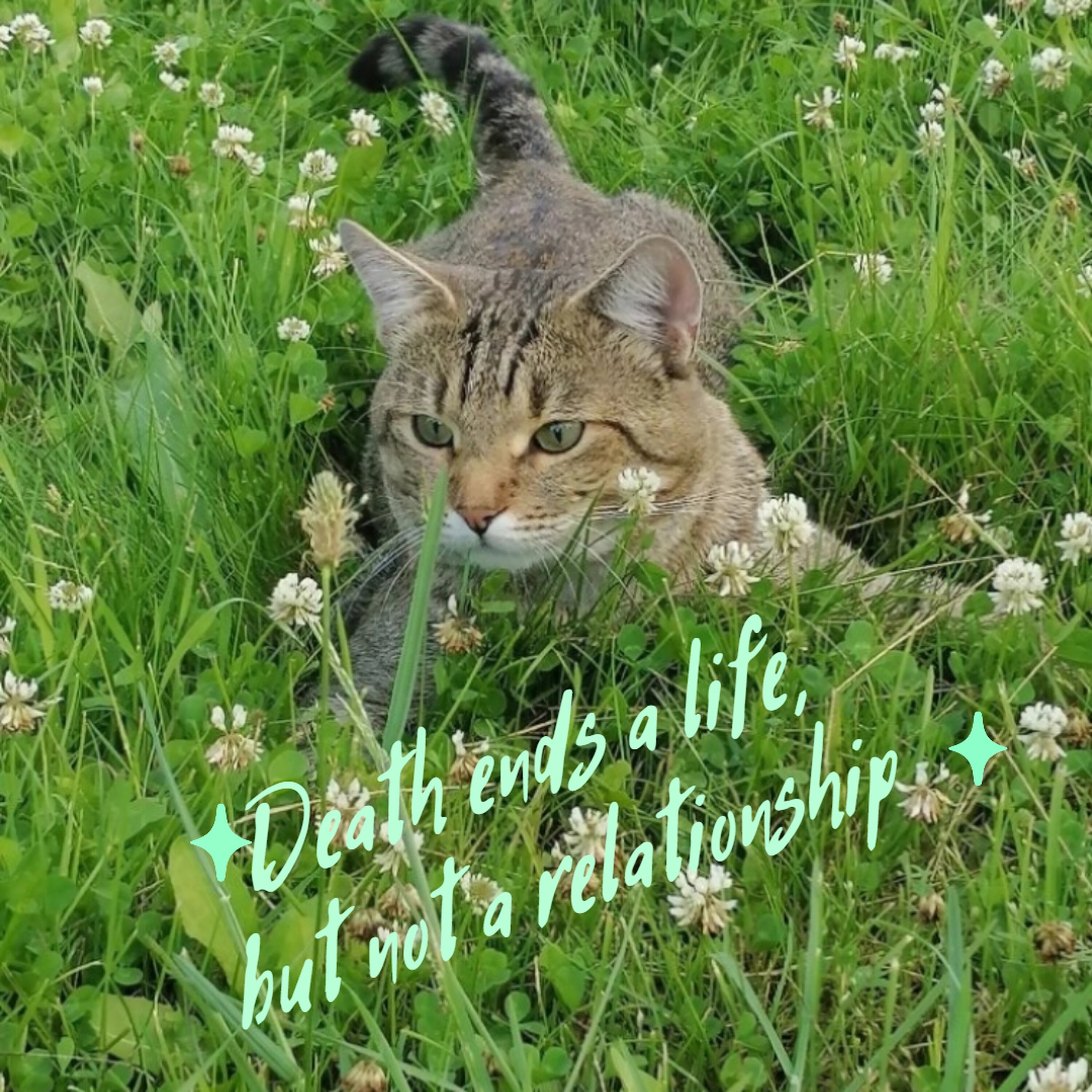 Death ends a life, but not a relationship