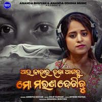 artist-cover