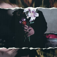 artist-cover