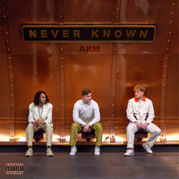artist-cover