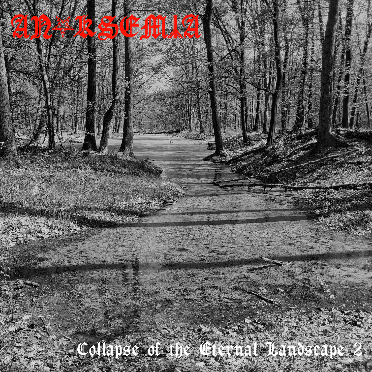 Обложка релиза Collapse of the Eternal Landscape 2