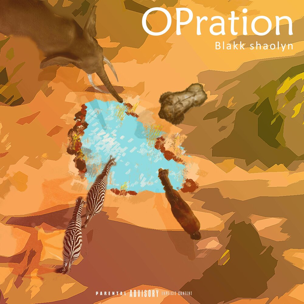 track-cover