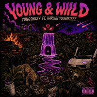 artist-cover