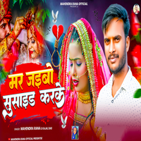 artist-cover